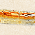 Best Angry Lobster (Must Try!) in Owings Mills, MD